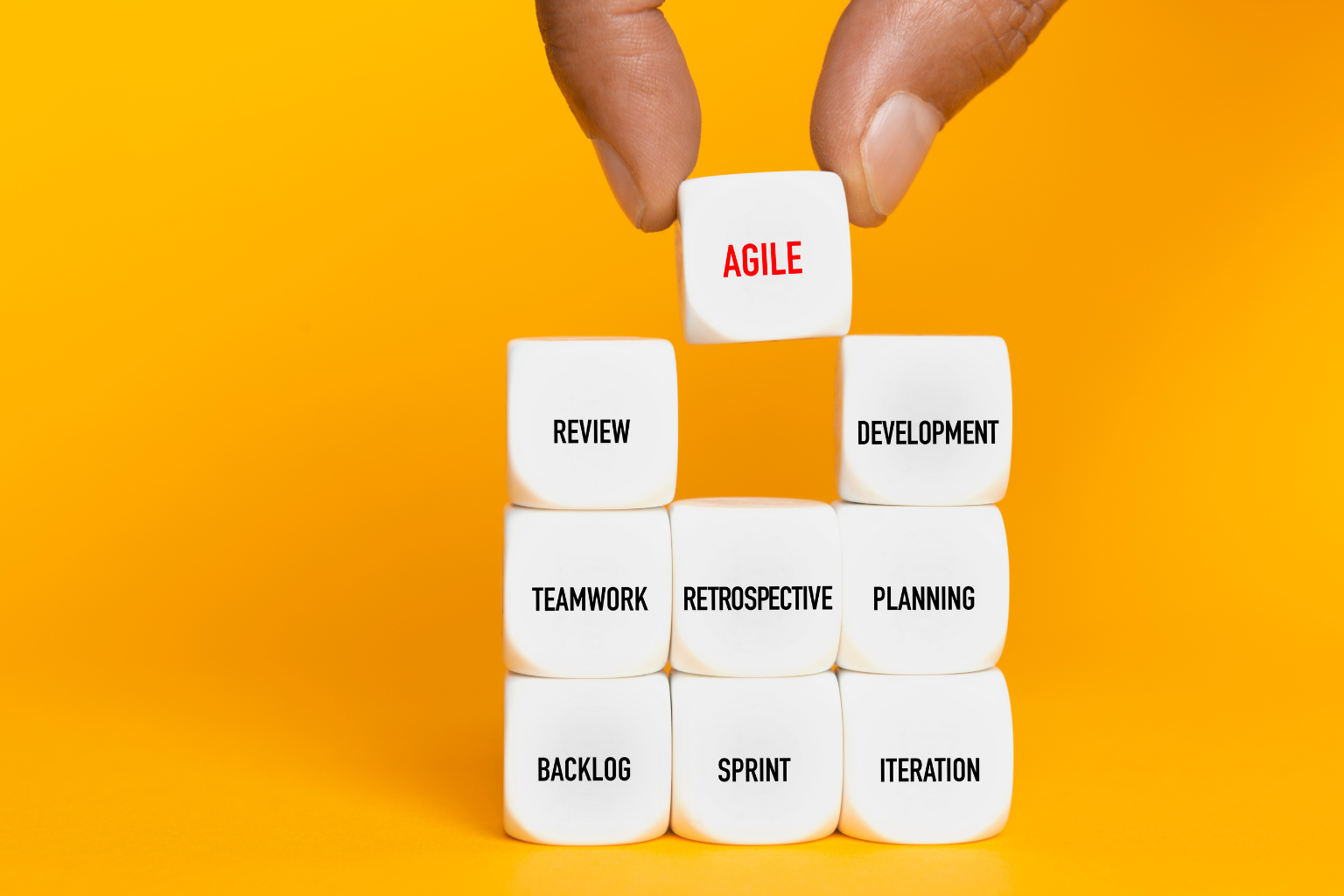 Mental Agility vs. Mental Discipline How Both Work Together for Success