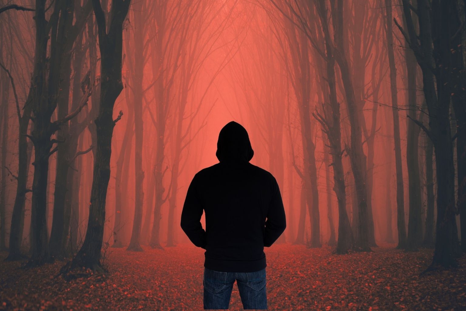 How to Find Purpose When You Feel Lost