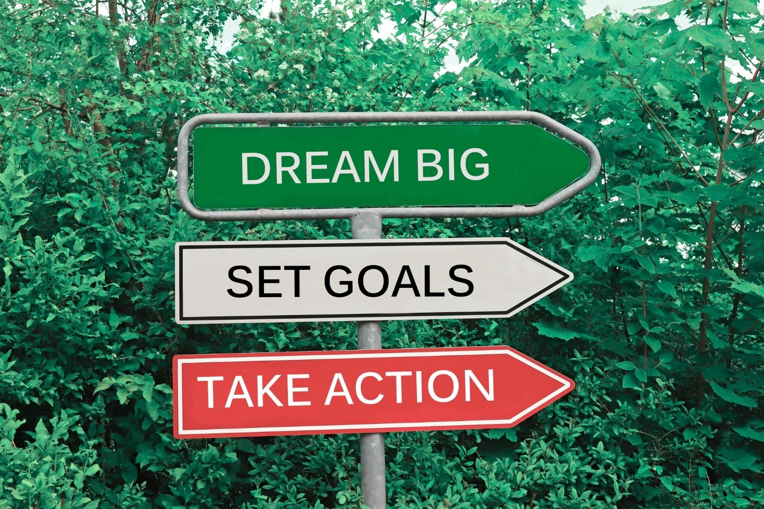 How to Use Mental Discipline and Take Action for Unstoppable Success