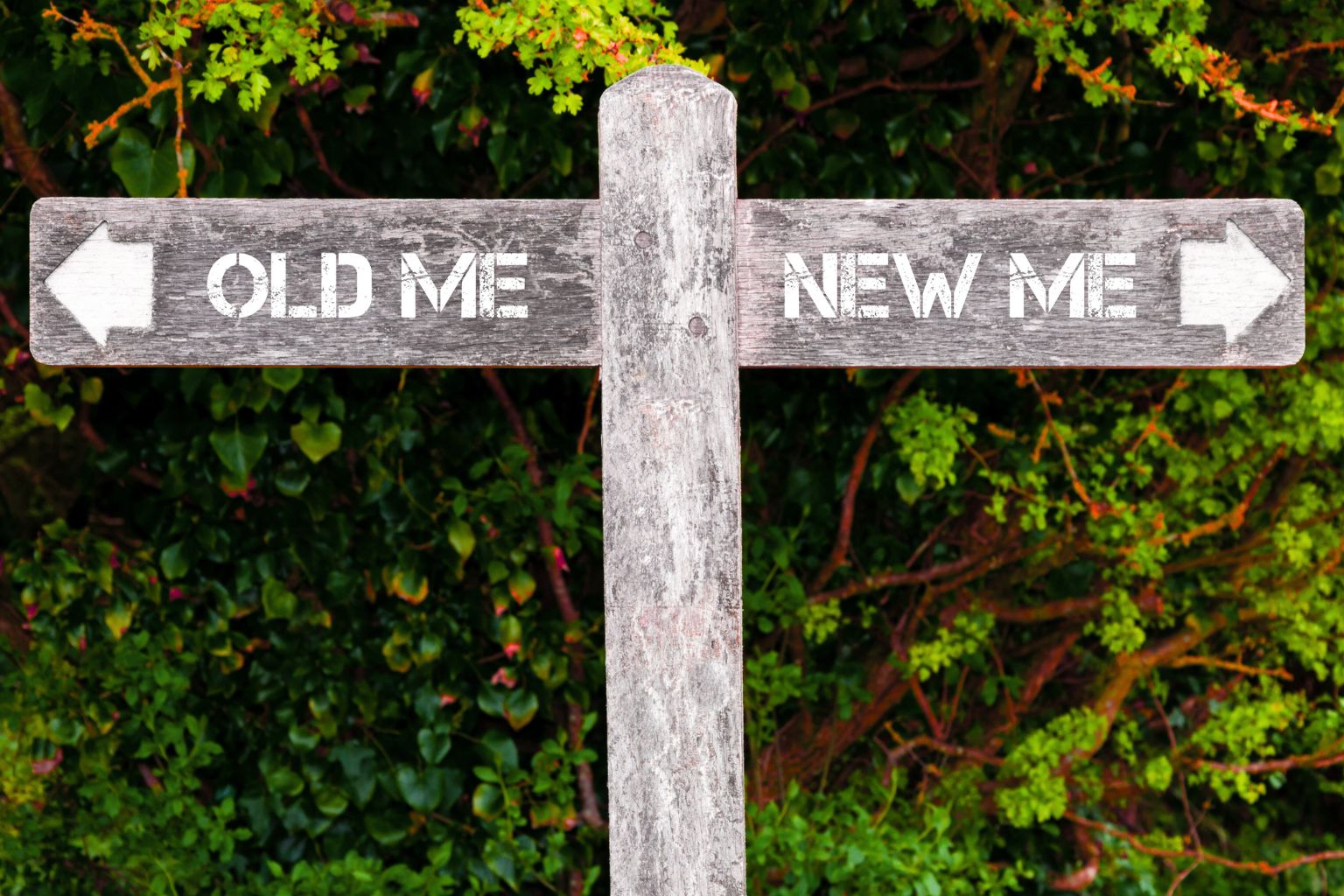 Unlocking Your Next Level Personal Growth Habits That Stick